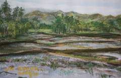 Mindanao palayan - almost ready for planting rice