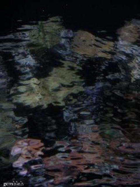 Abstract reflection of coral reefs