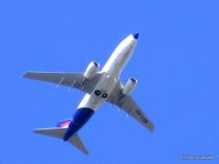 2008_0727 zahrada 7080214.JPG