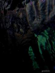 Jealous of the ocean