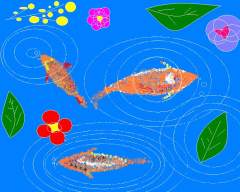 Top view Fishes Beauty