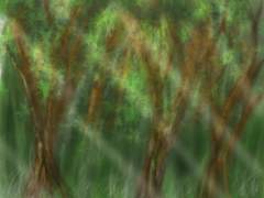 forest.jpg