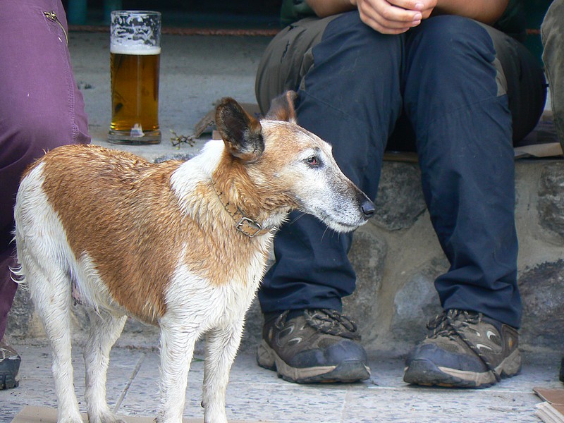 ps профиль ps профиль