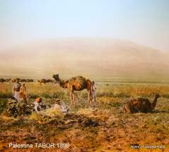 Palestina 1896