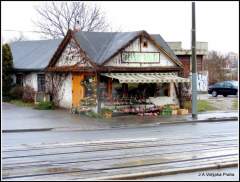 Praha 2010 zahradnictv