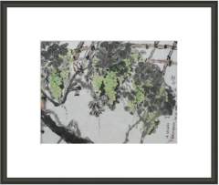 Qua vang la xanh (nho) 1.jpg