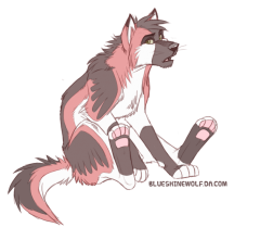 assuva sketch