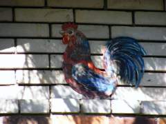 Cokerel - kohout na domku