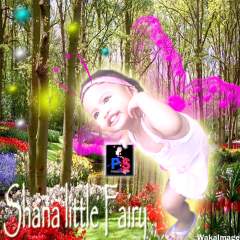 Shana the lilttle Fairy