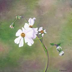 Canal Beauty by Tracie Brown Art - traciebrownart