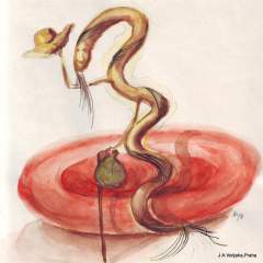 Borrelia