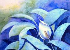 Seeking Light Finding Peace by gdowell
