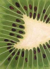 dive-in kiwi