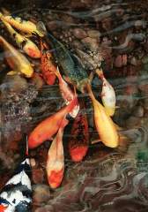 Koi fish painting - In The Swim by mightyfineart