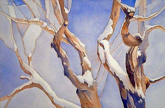 Winter Trees by Artquez