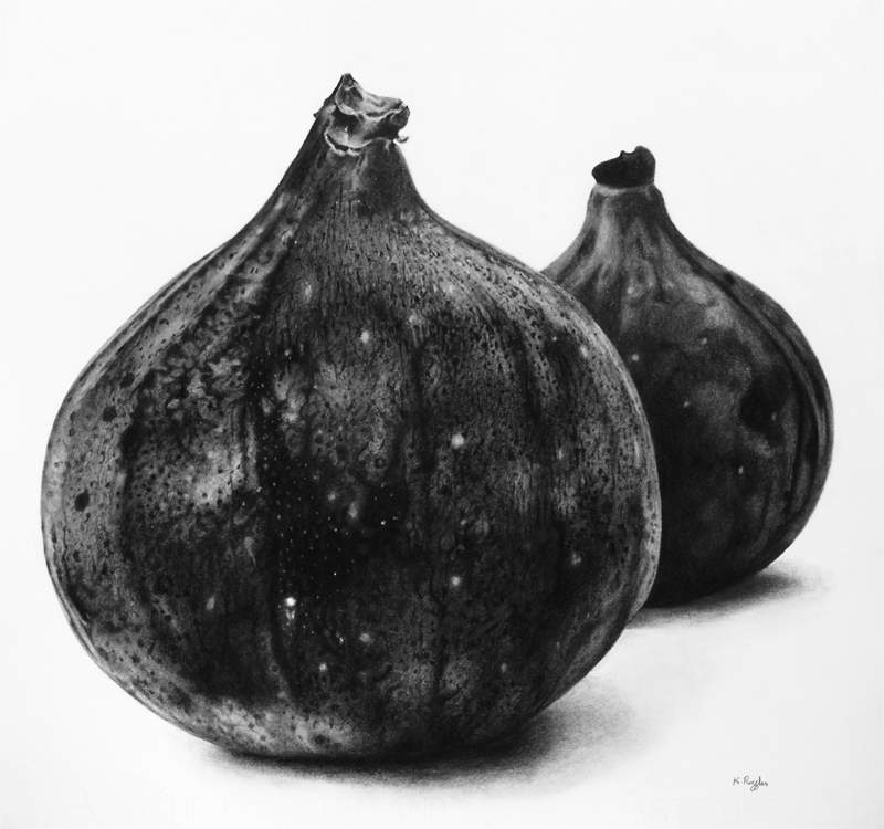 figs carbon and charcoal-001 - 100 dpi 8 x 7.jpg