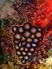 Grapes