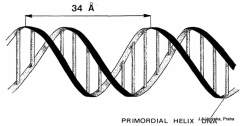 Helix DNA