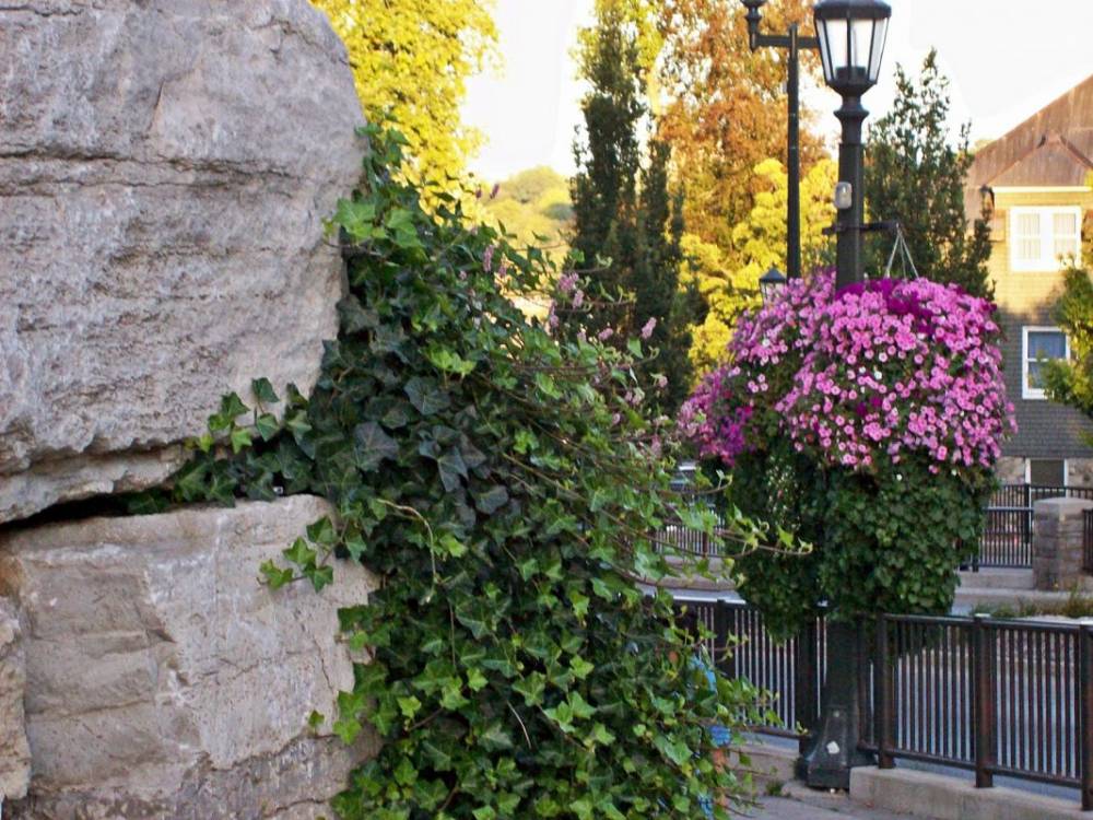 Stanley Avenue Member's own albums