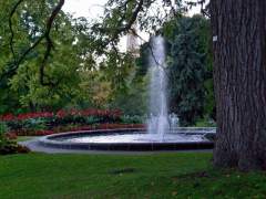 Beautiful Summer Plants