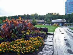 Summer Flower Gardens