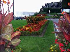 Summer Flower Gardens