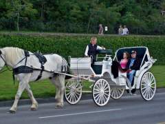 Another Form Of Limo