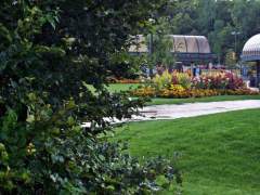 Summer Flower Gardens