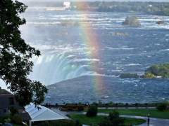 HORSESHOE FALLS ( Canada )