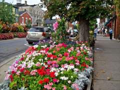 Summer Flower Gardens