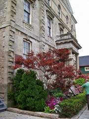 Summer Flower Gardens