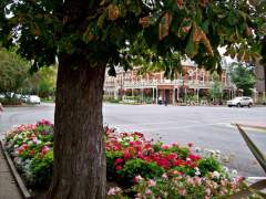 Prince Of Wales Hotel