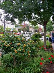 Summer Flower Gardens