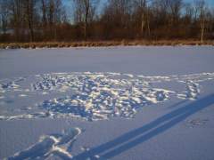 The Pond Is Frozen Over Finally