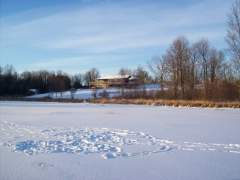 The House From The Pond
