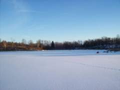 The Pond Is Frozen Over Finally