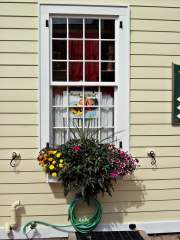 Beautiful Window Box