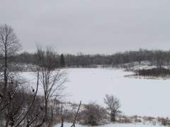 Frozen Pond
