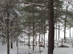 Stairway To The Lake