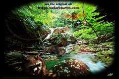 I paint my neighborhood