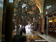 Promanade Inside Fallsview Casino