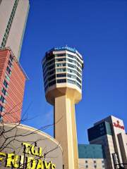 Minolta Tower Niagara Falls Canada