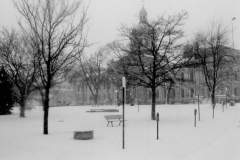 City Of Kingston Muncipal Government Office