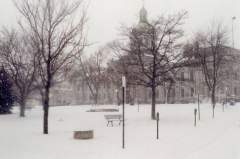 City Of Kingston Municipal Government Office