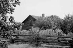 Home From the 1800,s