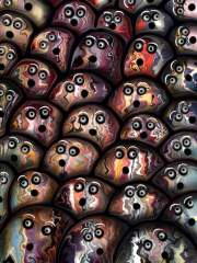 Chorus by rafi talby