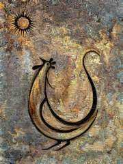 Rooster by rafi talby