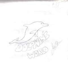 Dolphins World