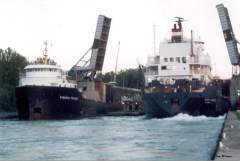 CANADIAN PROVIDER & PETER R CRESSWELL