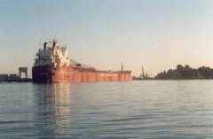 Rt. HON PAUL J MARTIN